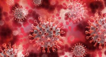 Informacja o pracy Urzędu Gminy  w związku ze stanem epidemii  spowodowanej  przez koronawirusa SARS-CoV-2